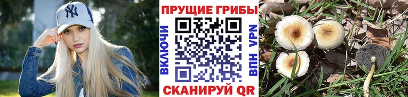 hydra ONION  Павлово  Галлюциногенные грибы прущие грибы 